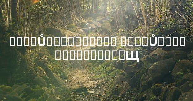 ����Ů���������� ����Ů�˵������������Щ